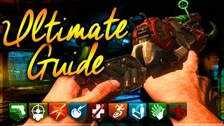 ULTIMATE Guide to 