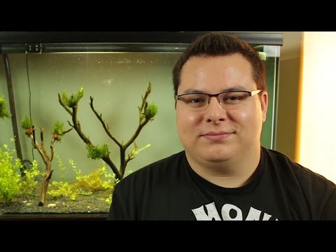 80 Gallon Planted Tank Update Episode 5