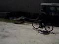 Archie Riding A Bike