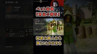 【Crimson Desert 紅の砂漠】ペット装備 『勇猛の護符』 の入手方法について紹介 #紅の砂漠 #CrimsonDesert #紅の砂漠攻略 #アクションRPG
