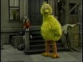 Sesame Street Scenes From 2341