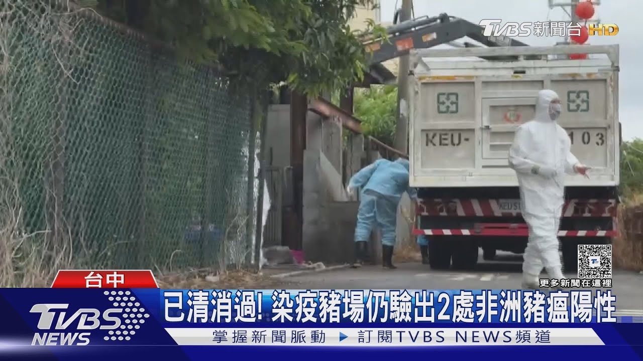 非洲豬瘟病毒太強！台中染疫豬場清消後　2處仍呈陽性