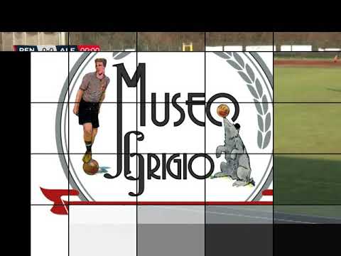 Campionato 2019/20 22° Giornata  Renate - Alessandria 1 - 0