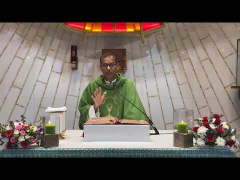 Luke 10:25-37 | Homily