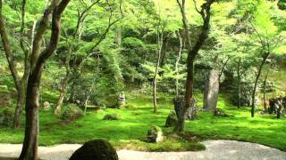 光明禅寺の枯山水「一滴海庭」
