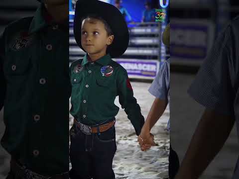 4 de novembro de 2025