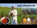 तात्याच्या मळ्यात देशी कोंबड्याच्या 