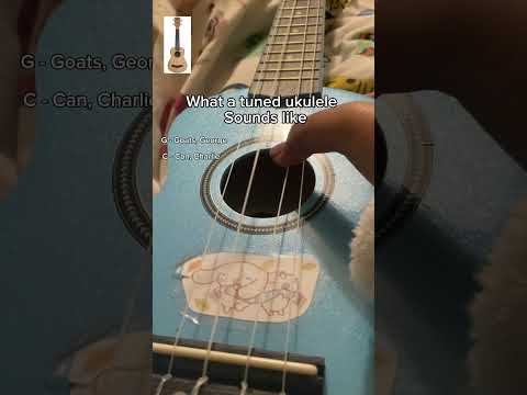 What a tuned ukulele sounds like #ukulele #tuning #tutorial #music #easy
