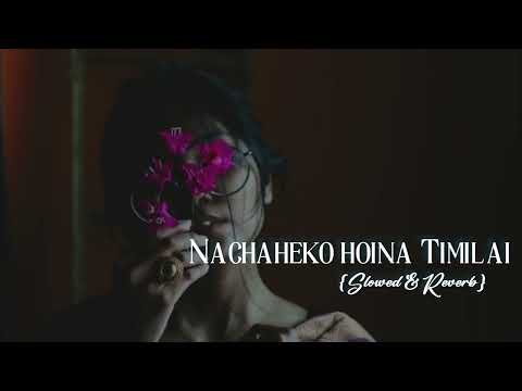 Nachaheko hoina Timilai/The Edge Band {slowed & reverb}