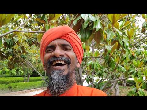 Tandava: Danza Cósmica de Shiva por Dada Tiirthadevananda.