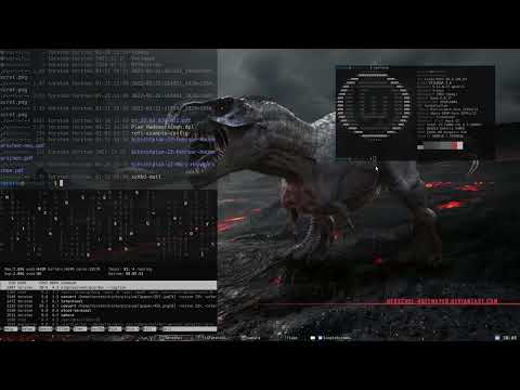 playing arround with pywal on herbstluft wm in linux mint