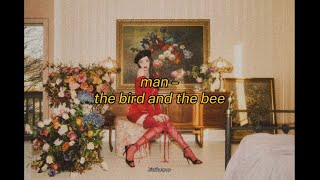 man – the bird and the bee // lyrics