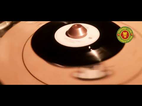 Shamba Lion Sound System in Bruges Belgium 14-05-22