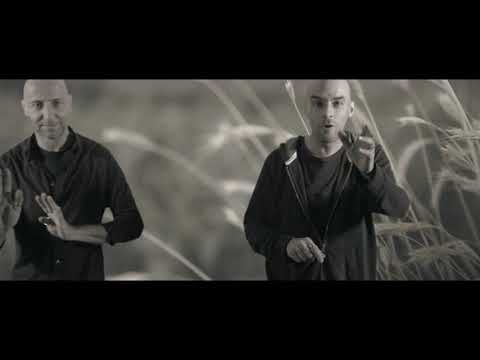 Sebseb / Le Zèbre [clip officiel]