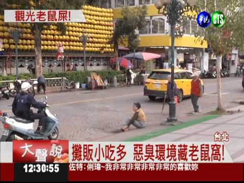 龍山寺鼠患! 上百隻老鼠竄花圃