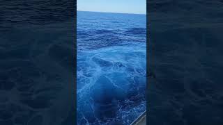 Carnival Dream View from my Cove Balcony