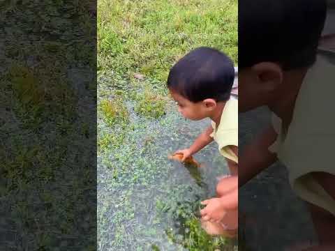 Chitti Mariyu Magic Ascaryam - Surprise Egg