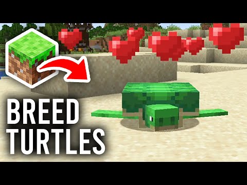 Insane Minecraft Turtle Breeding Tips!!