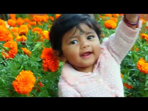 Sitara sri Birthday song