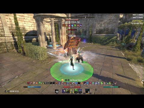 ESO Hybrid Warden 104.9k Bow/ Staff AT