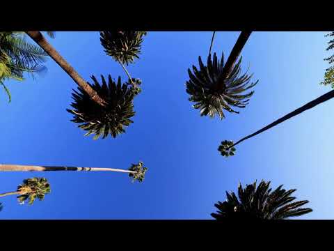 Latin House Mix 2025