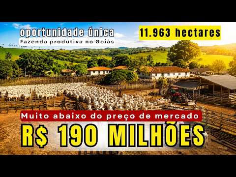 🚨 FAZENDA AVALIADA EM R$ 300 MILHÕES À VENDA POR R$ 190 MILHÕES | 11.963 HECTARES EM GOIÁS