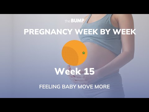 Pregnancy Week 15 | Feeling Baby Move More | Pregnancy Week By Week