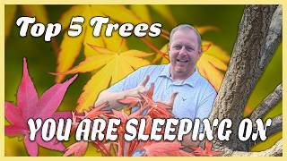 Download lagu 5 Hidden Gem Japanese Maples You’re Overlooking | Buchholz Nursery mp3