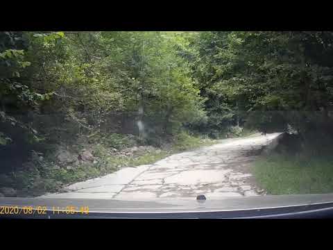 Cerna Sat - Izbucul Cernei - Valea Mare - Pades 02.08.2020