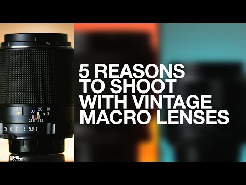 5 REASONS TO SHOOT WITH VINTAGE MACRO LENSES - Up Close and Personal