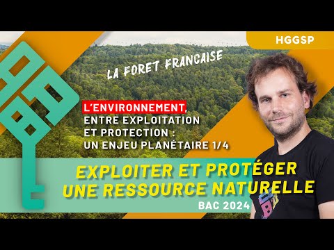 HGGSP Thème 5 - Environnement : exploitation et protection 1/4 - La forêt française - Bac 2025