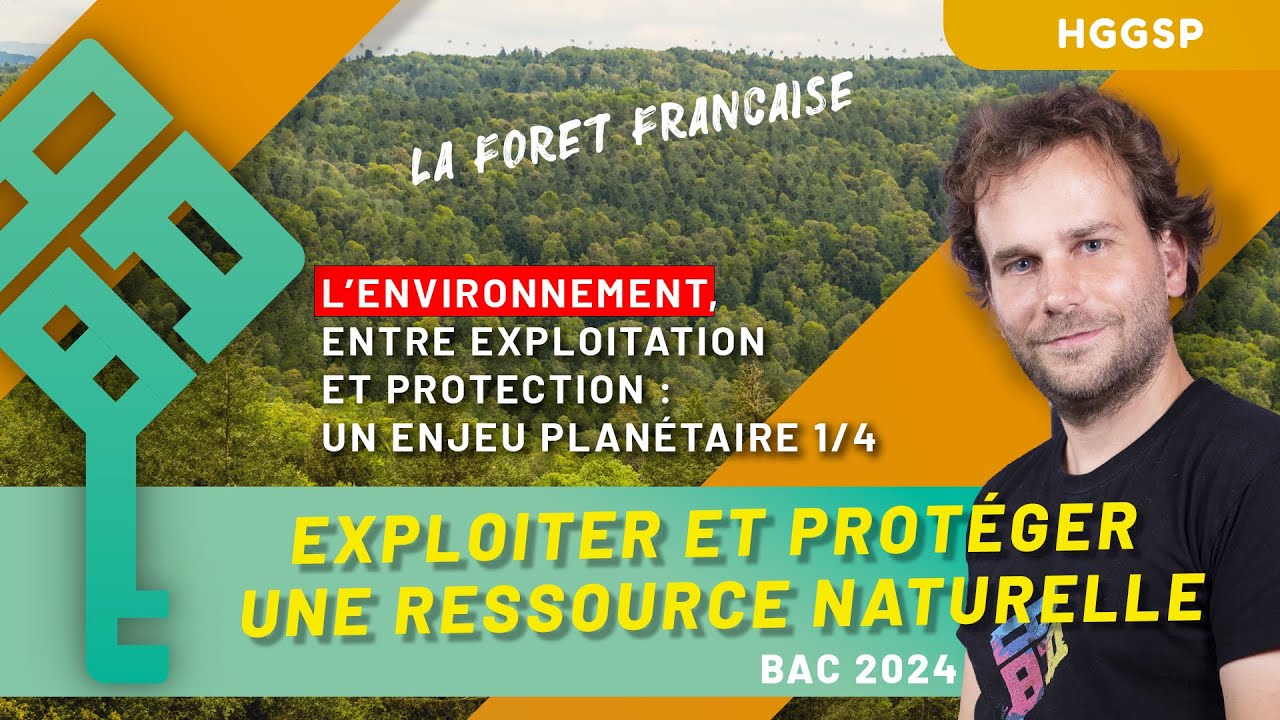 HGGSP Thème 5 - Environnement : exploitation et protection 1/4 - La forêt française - Bac 2025