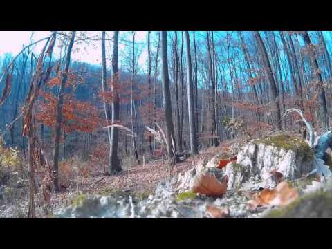 Den v malych karpatoch