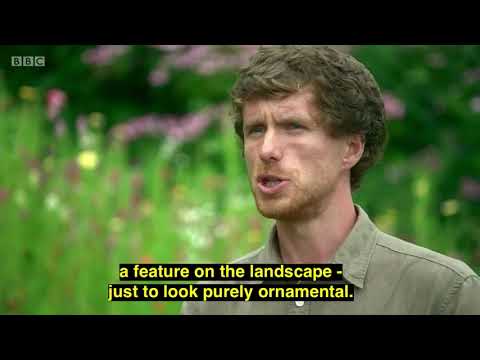 Gardener’s World 2020 - Episode 21