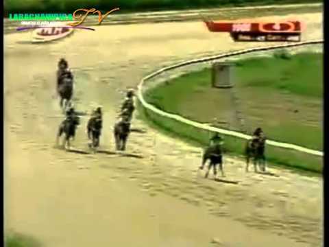 VALENCIA 4 CARRERA VIERNES 05 DE SEPTIEMBRE DEL 2014