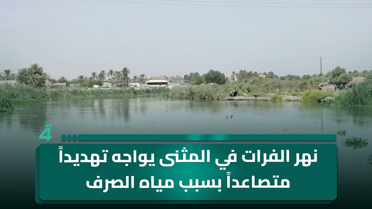 فيديو | نهر الفرات في المثنى يواجه تهديدا متصاعدا بسبب مياه الصرف غير المعالجة