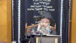 הדף היומי מסכת סוכה דף כח כו' אב התשפא נמסר ע"י הרה"ג דן גבאי שליט"א