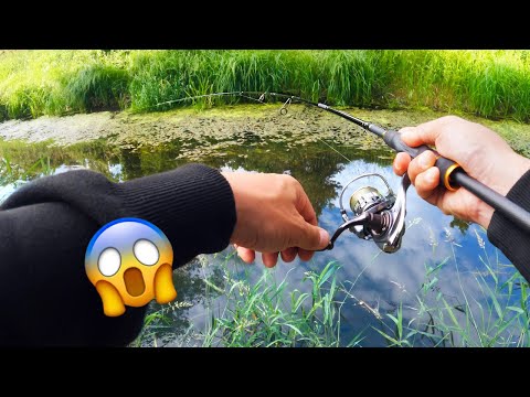 BARSCHANGELN in kleinen Flüssen 🐟 beste Stellen und Köder 🎣🔥👍🏼