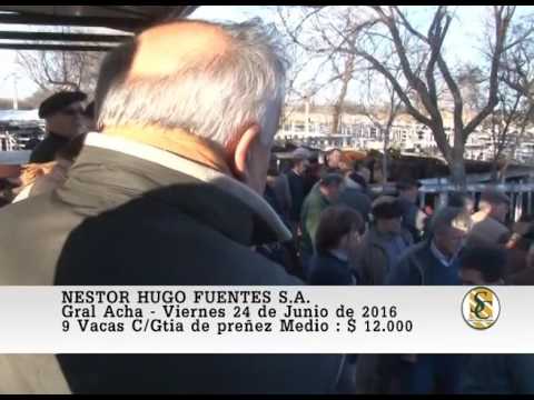 24-06-16 Ventas de Vientres - Nestor Hugo Fuentes S.A. - Gral. Acha.
