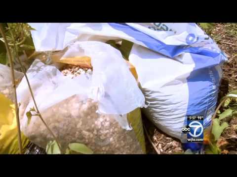 Is urban farming in D.C. a good idea?