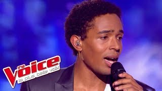 The Beatles - With a Little Help From My Friends | Stéphan Rizon | The Voice 2012 | Demi-Finale