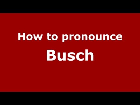 How to pronounce Busch