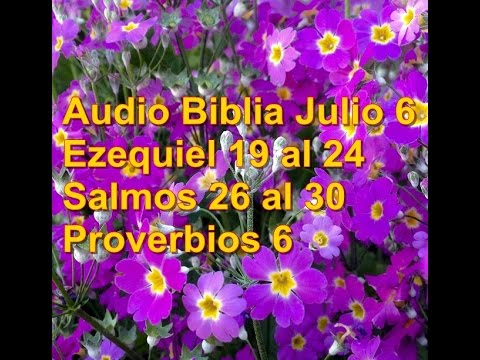 Audio Biblia Julio 6 Ezequiel 19 al 24  Salmos 26 al 30 Proverbios 6