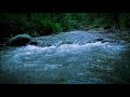 Natural relaxing sounds of a forest river for sleeping, for meditation, for yoga and studying