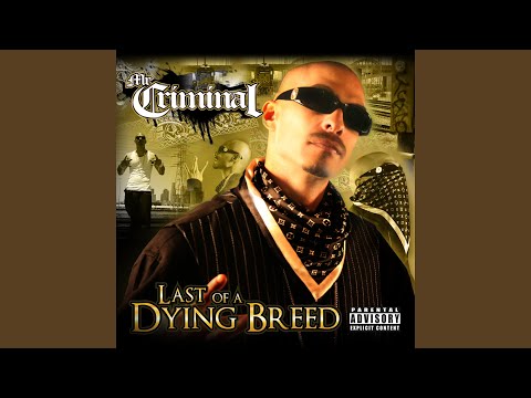 Something You Can Cruise To