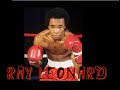 Ray Leonard all knockouts