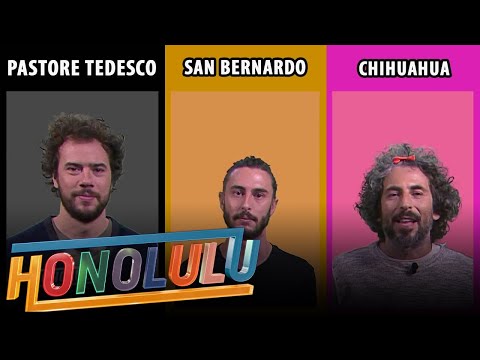 Honolulu - L'intervista tripla