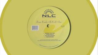 Brian Harden - Jungleistic
