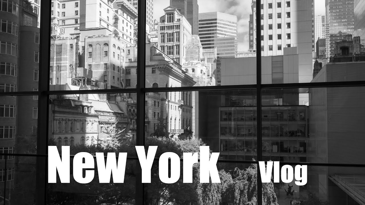 【Vlog】ニューヨークの記録2025