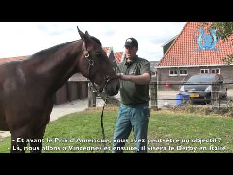 A2TURF - TOUR DE COUR PAUL HAGOORT (1/2)